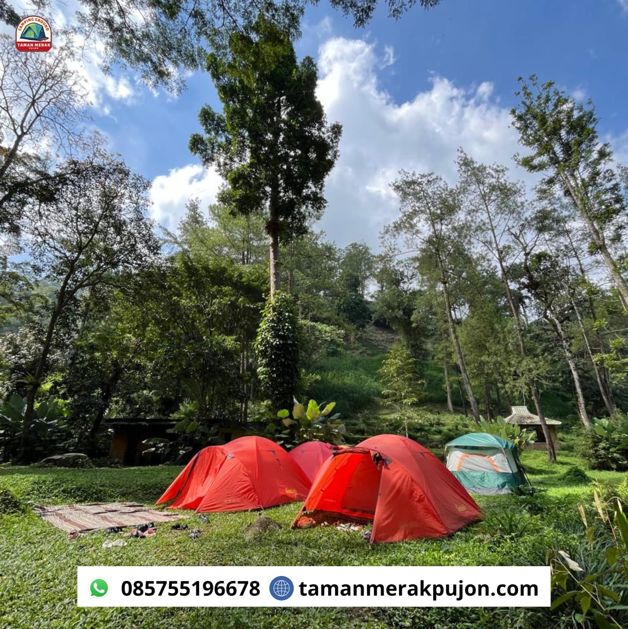 camping ground pujon, camping ground malang, taman merak pujon, lokasi camping di malang, camping keluarga di malang, lokasi taman merak pujon, taman kemesraan pujon, wisata camping di malang, wisata camping di batu, 